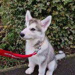Tyler Mackenzie - @tyler.mackenzie.710 - Instagram