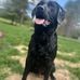 Tyler Mader - Facebook