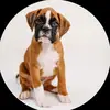 Tyler Major - @tyler.major34 - TikTok