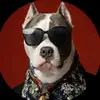 Tyler Major - @tyler.major83 - TikTok