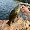 Tyler Mallon - @tylermallon - TikTok