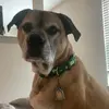 Tyler Marcello - @tylermarcello - TikTok