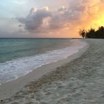 Tyler Marks - @tylermarks99 - Instagram
