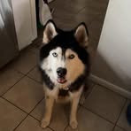 Tyler Mathis - Facebook