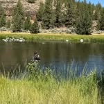 Tyler Mauldin - @tmaulds - Instagram