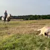 Tylermayes011 - @tylermayes011 - TikTok