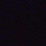 Tyler Maynard - @maynard50 - Instagram