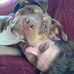 Tyler Mccombs - Facebook