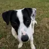 tylerjamesmcelligott - @theeggking1 - TikTok