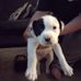 Tyler Mcelroy - Facebook