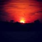 Tyler Dean McGuire - @tyler_mcguire_country_boy - Instagram