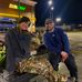 Tyler McHugh - Facebook