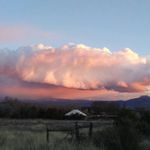 Tyler McManus - @tylermcm420 - Instagram