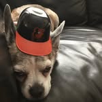 Tyler Mctigue - @tylermctigue14 - Instagram