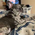 Tyler Meade - @michigan_hustler - Instagram