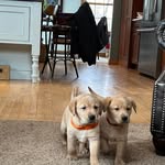 Tyler Meister - @tyler.meister.75 - Instagram
