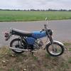 Tyler Meisterknec655 - @tylermeisterknec6 - TikTok