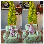 Tyler Meredith - Facebook
