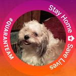Tyler Messerschmidt - @tylermesserschmidt - Instagram