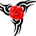 Tyler Messerschmidt - Facebook