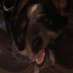 Tyler Metz - @tyler_m3tz - Instagram