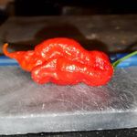 Tyler Mickelson's Hot Sauce - @tylermickelsons_hotsauce - Instagram