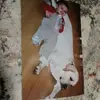 Tyler Mishka - @tylermishka - TikTok