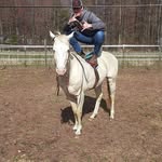 Tyler Mobley - @adventures_of_a_shitbox - Instagram