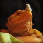 Tyler Mooney - @beyondflames - Instagram