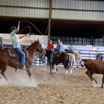 Tyler Mozingo - @tyler.mozingo - Instagram