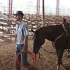 Tylermozingo4 - @tyler.mozingo - TikTok