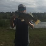 @tylermozingo - @tylermozingo6 - Instagram