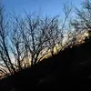 Tyler Murdock - @tylermurdock73 - TikTok