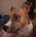 Tyler Nagy - Facebook