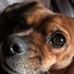 Tyler Nagy - Facebook