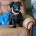 Tyler Navarro - Facebook