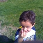 Tyler Neves - Facebook