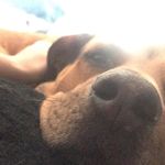 Tyler Neves - @77tylerboy77 - Instagram