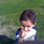 tyler neves - @tyler_neves7 - Instagram