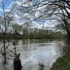 tylernewcomb29 - @tyler.newcomb0 - TikTok