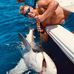 Tyler Opferman - Facebook