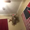 Tyler_pace - @tyler_pace - TikTok