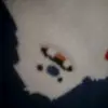 tyler.n.pappas - @hellozzzza - TikTok