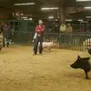 Tyler Parrish - @tylerparrish52 - TikTok