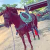 Tyler Speed - @tylerspeed4 - TikTok