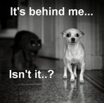 Tyler Piercefield - Facebook