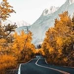 Tyler Lee Poetschke - @tylerpoetschke - Instagram