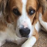 Tyler Poe - @tyler_poe12 - Instagram
