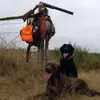 FamilyLabsandoutdoors - @tylerpoor3 - TikTok