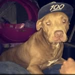 tyler potts - @tyler_potts16 - Instagram